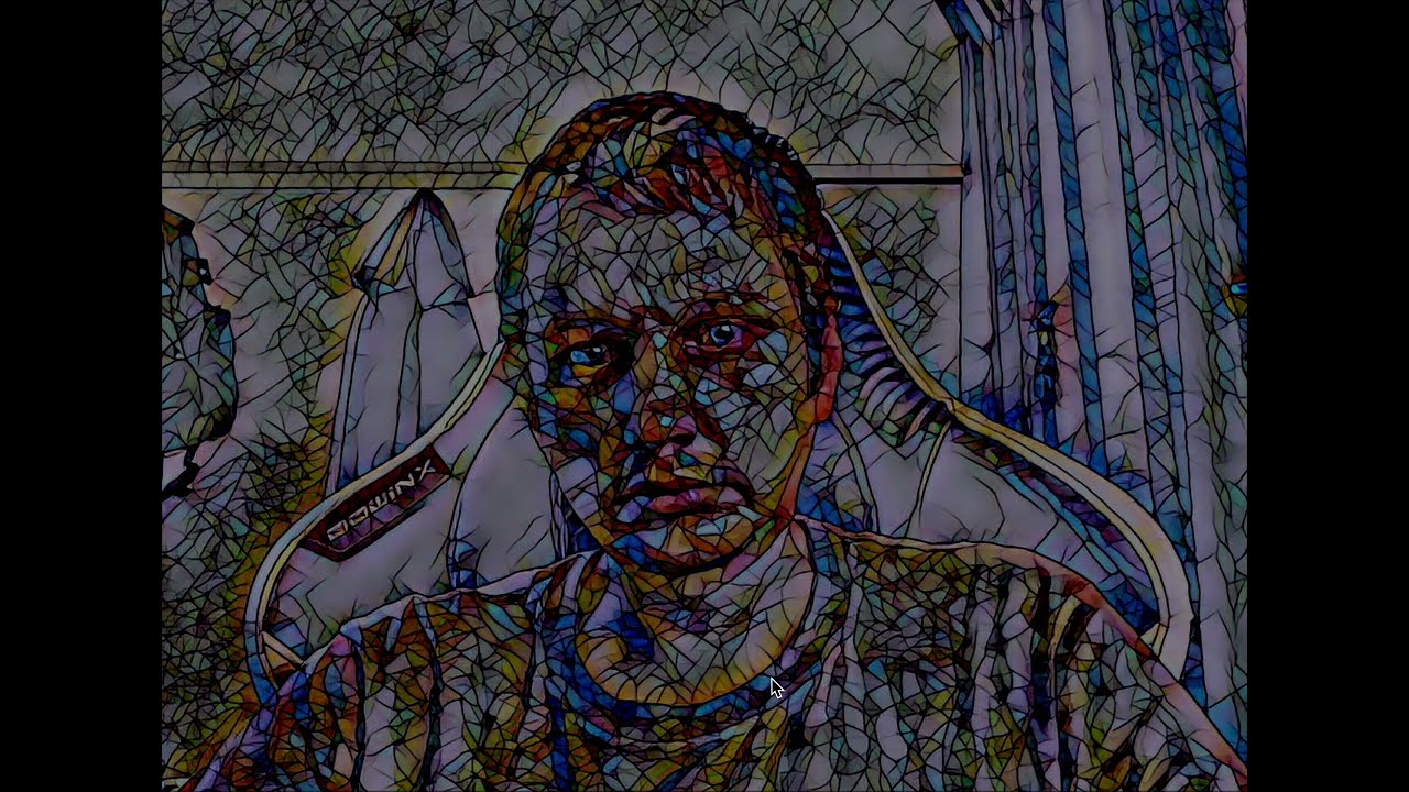 Made a weirdly satisfying style transfer webcam app in C++